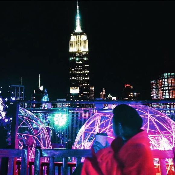 Meet your Posher, Elle - Picture 1 of 1